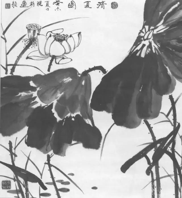 学画荷花和荷叶,荷花怎么画儿童简笔画