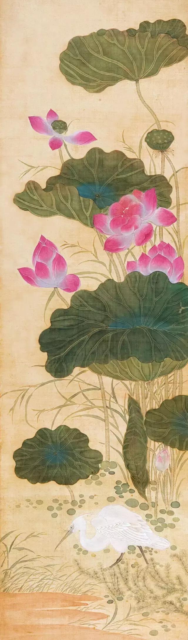 学画荷花和荷叶,荷花怎么画儿童简笔画