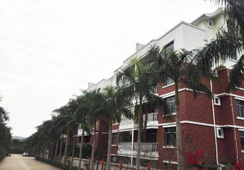 海南8千元左右的房源,海南房源最新价格