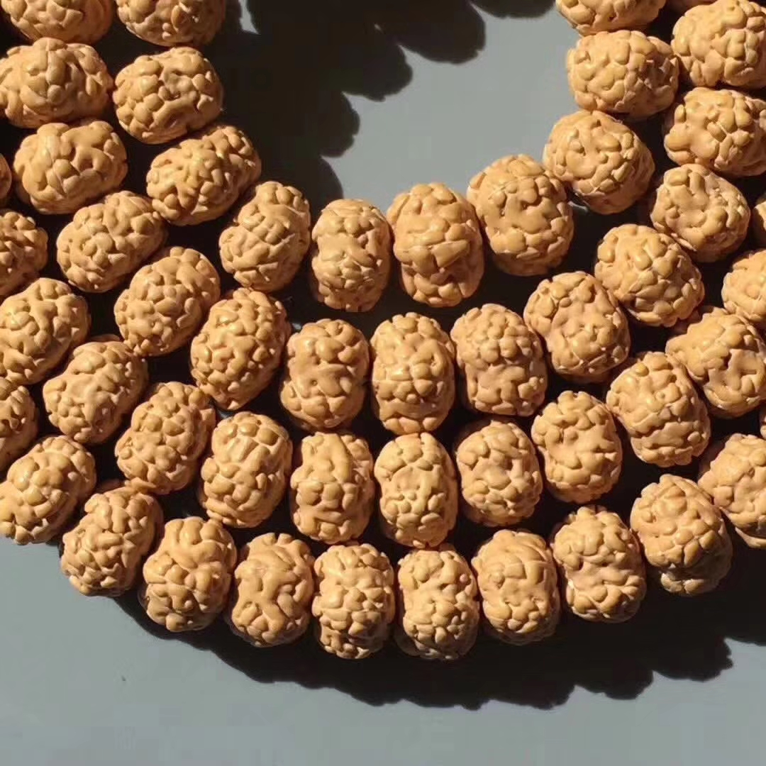 超级飞碟金刚菩提,五瓣爆肉梅花金刚菩提