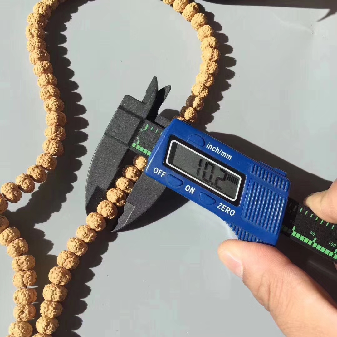 超级飞碟金刚菩提,五瓣爆肉梅花金刚菩提