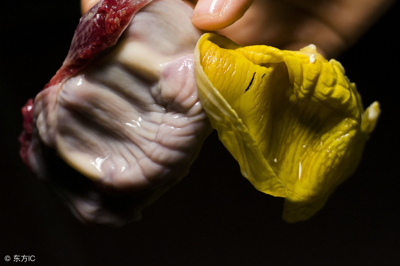 5毛钱一个，全家都能吃到的补品，能化结石养肝脾！