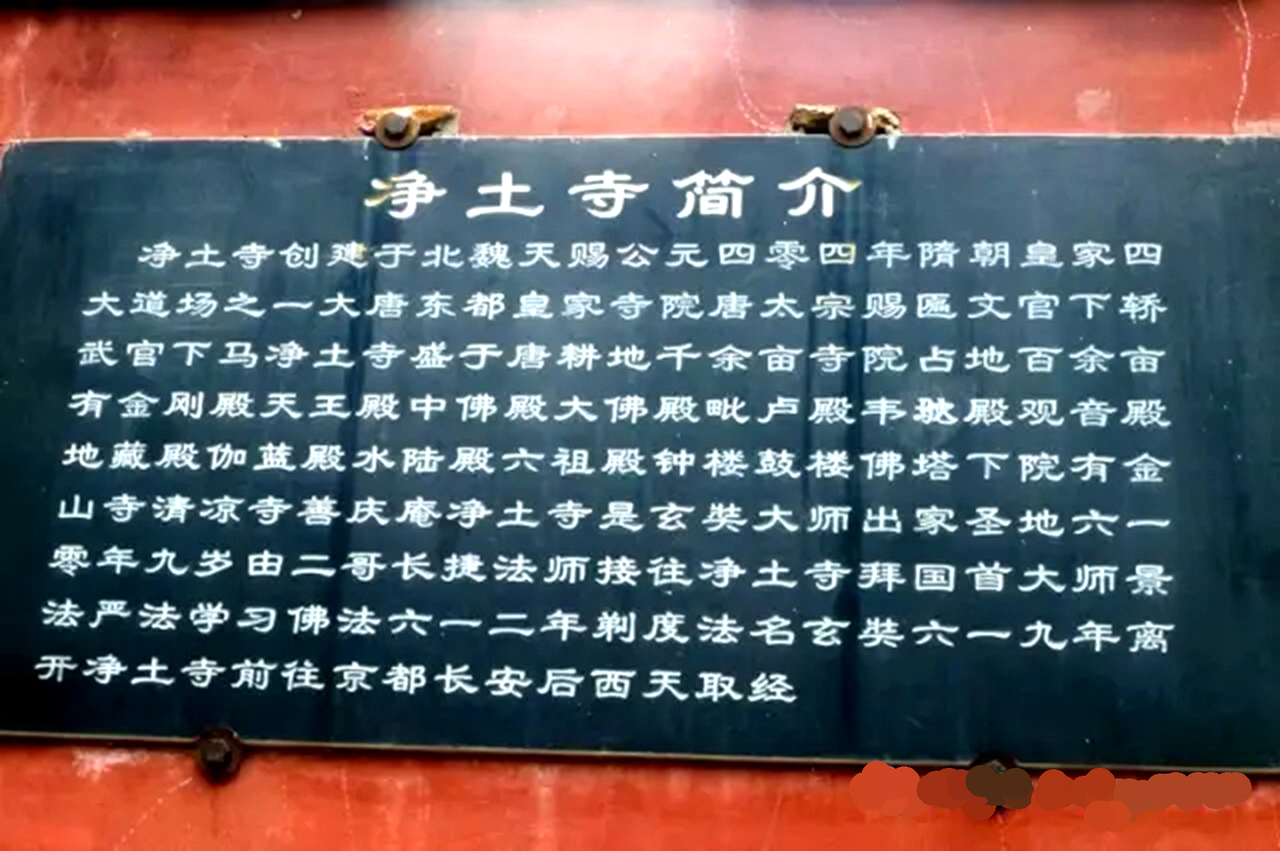 洛阳净土寺：愿你出走半生，回来仍是少年