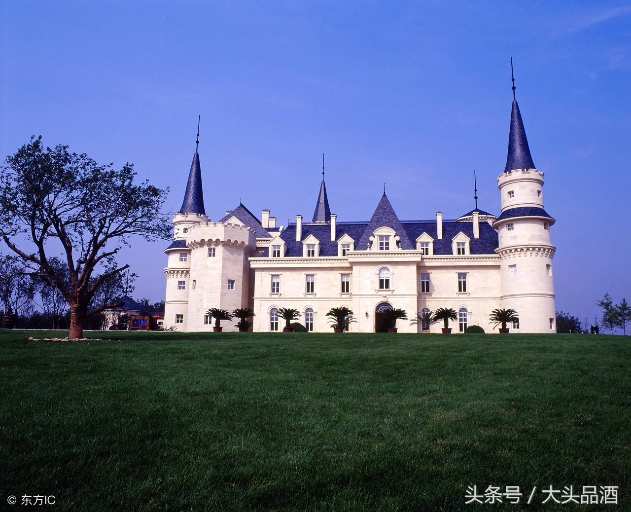 1855法国葡萄酒分级制度,简述德国葡萄酒的分级制度