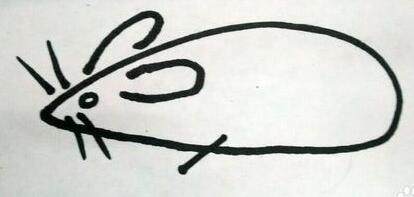 宠物小精灵简笔画咚咚鼠,朝花夕拾狗猫鼠图片简笔画