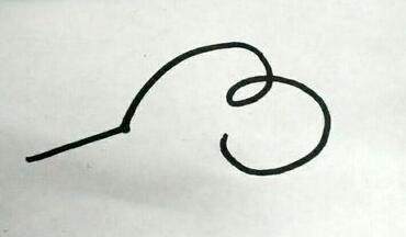 宠物小精灵简笔画咚咚鼠,朝花夕拾狗猫鼠图片简笔画