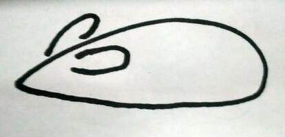 宠物小精灵简笔画咚咚鼠,朝花夕拾狗猫鼠图片简笔画