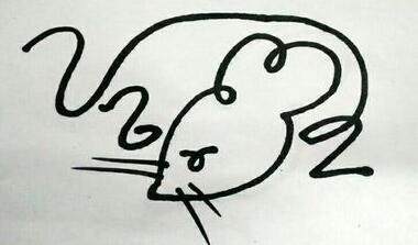 宠物小精灵简笔画咚咚鼠,朝花夕拾狗猫鼠图片简笔画