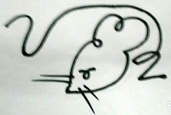 宠物小精灵简笔画咚咚鼠,朝花夕拾狗猫鼠图片简笔画