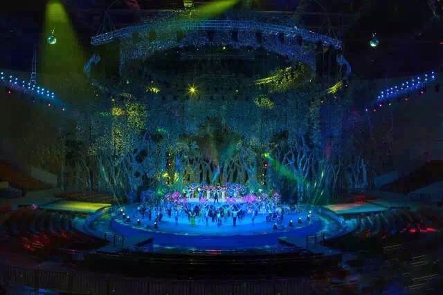 想投食小白虎、赏国际马戏？你有时间，小编有票，周末灵玲走起