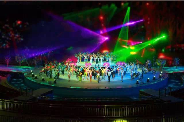 想投食小白虎、赏国际马戏？你有时间，小编有票，周末灵玲走起