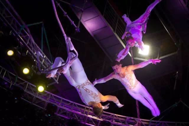 想投食小白虎、赏国际马戏？你有时间，小编有票，周末灵玲走起