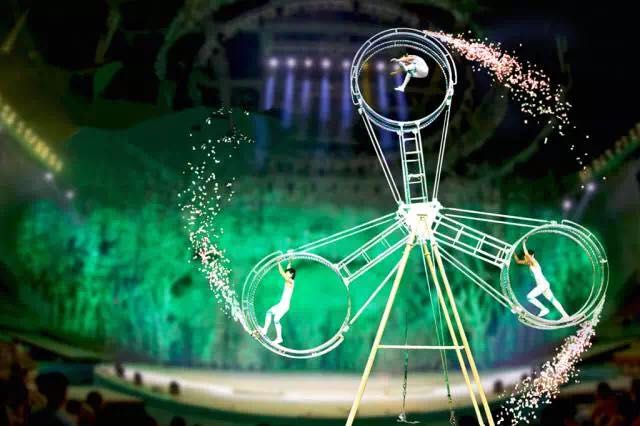 想投食小白虎、赏国际马戏？你有时间，小编有票，周末灵玲走起