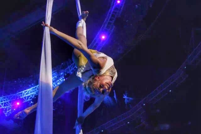 想投食小白虎、赏国际马戏？你有时间，小编有票，周末灵玲走起