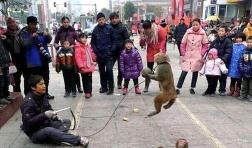 我和荣威i6交往了一年然后我发现它是个渣男