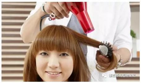 头发干燥打结分叉用哪些精油最好,头发老是断怎么改善