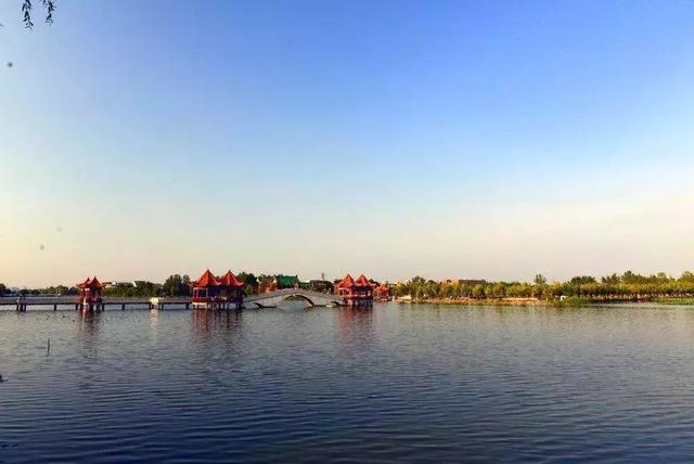 太昊陵寻根谒祖,重阳节太昊陵赏菊谒祖正当时