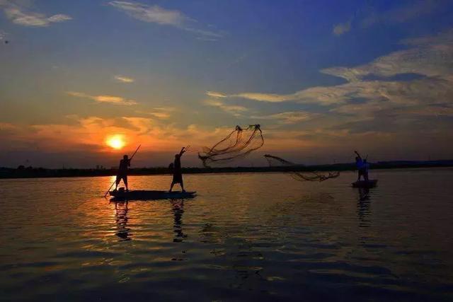 太昊陵寻根谒祖,重阳节太昊陵赏菊谒祖正当时