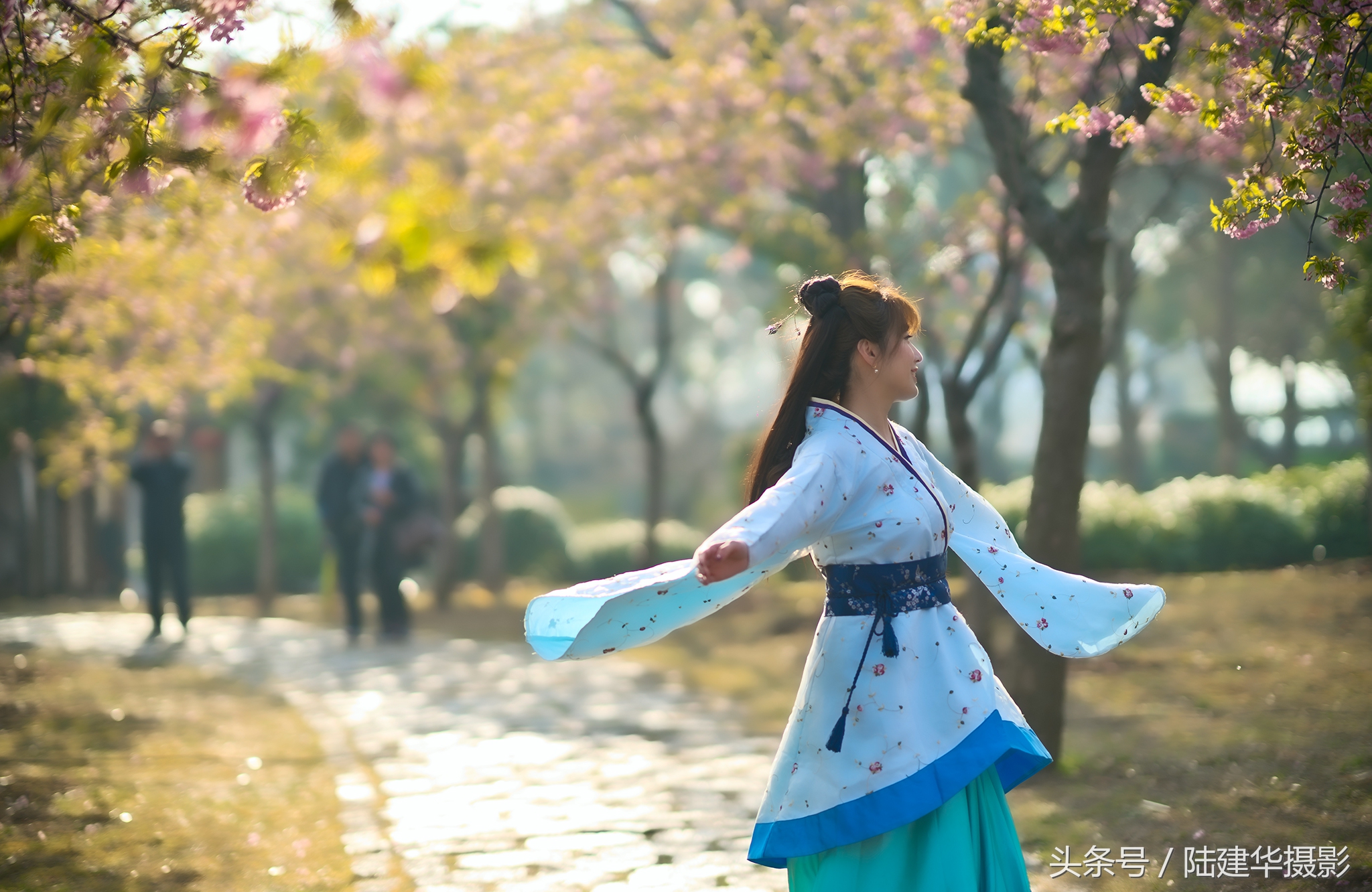 太湖鼋头渚樱花谷,鼋渚樱花是春天最浪漫的邂逅