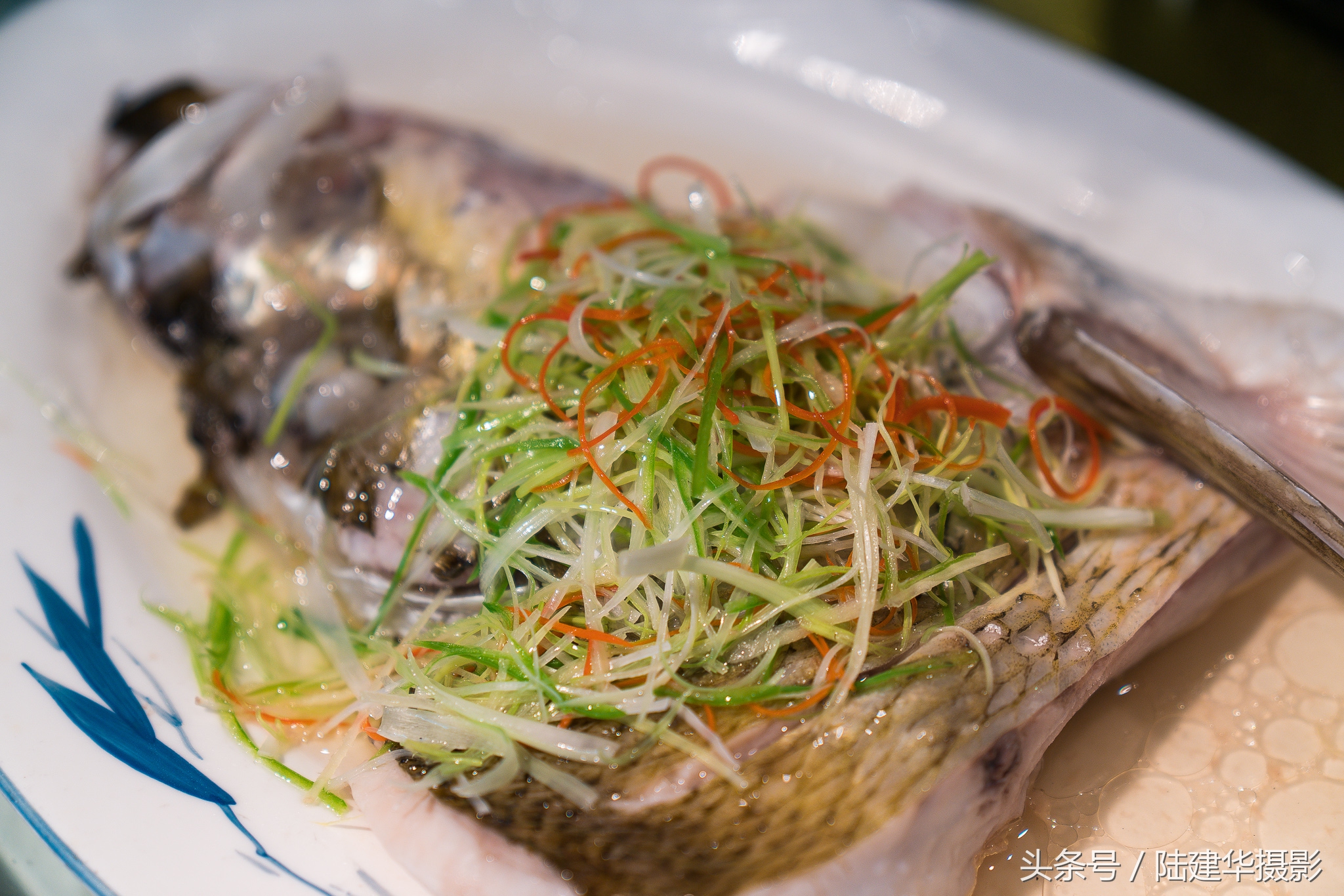 太湖鼋头渚樱花谷,鼋渚樱花是春天最浪漫的邂逅