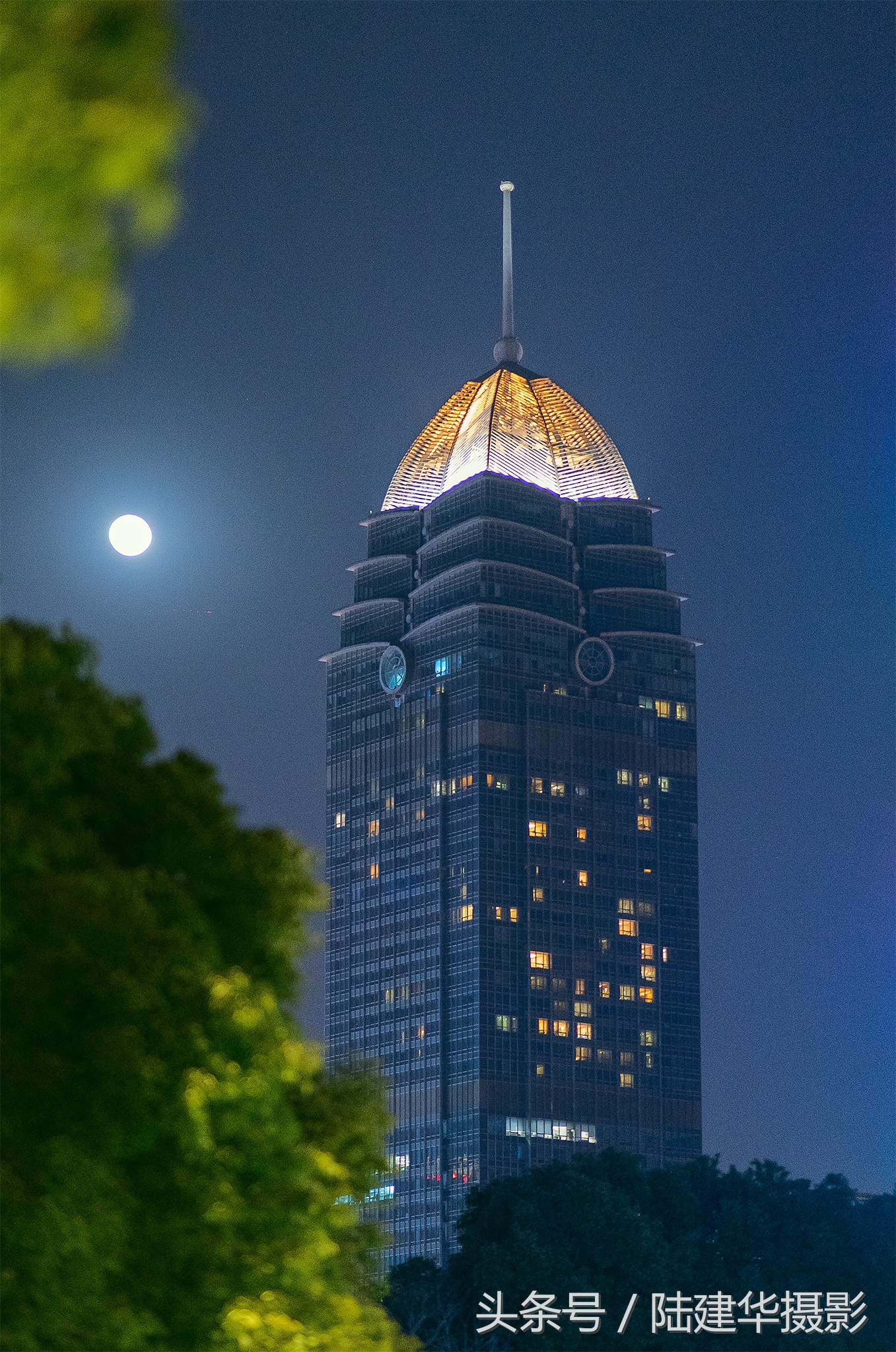 太湖鼋头渚樱花谷,鼋渚樱花是春天最浪漫的邂逅