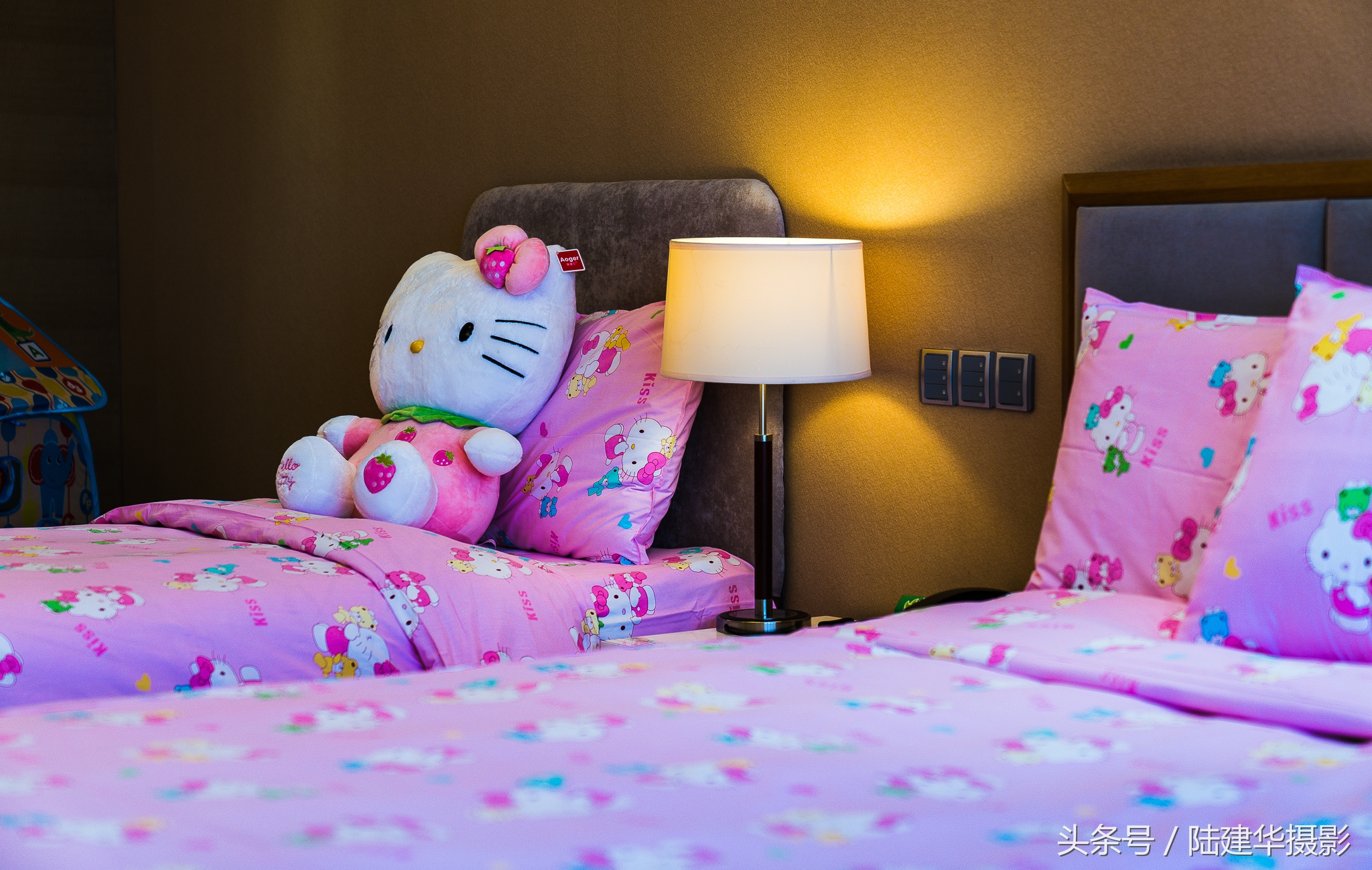 太湖鼋头渚樱花谷,鼋渚樱花是春天最浪漫的邂逅