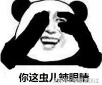 农村什么虫子有药用价值,农村臭屁虫特效药