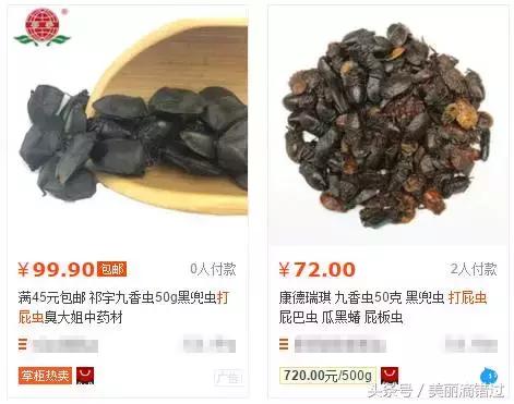 农村什么虫子有药用价值,农村臭屁虫特效药