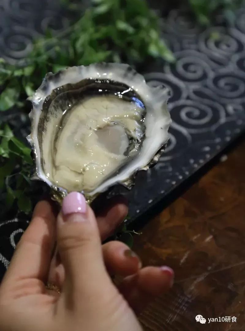 逛吃逛吃·一入蚝门深似海，只缘身在此庭中