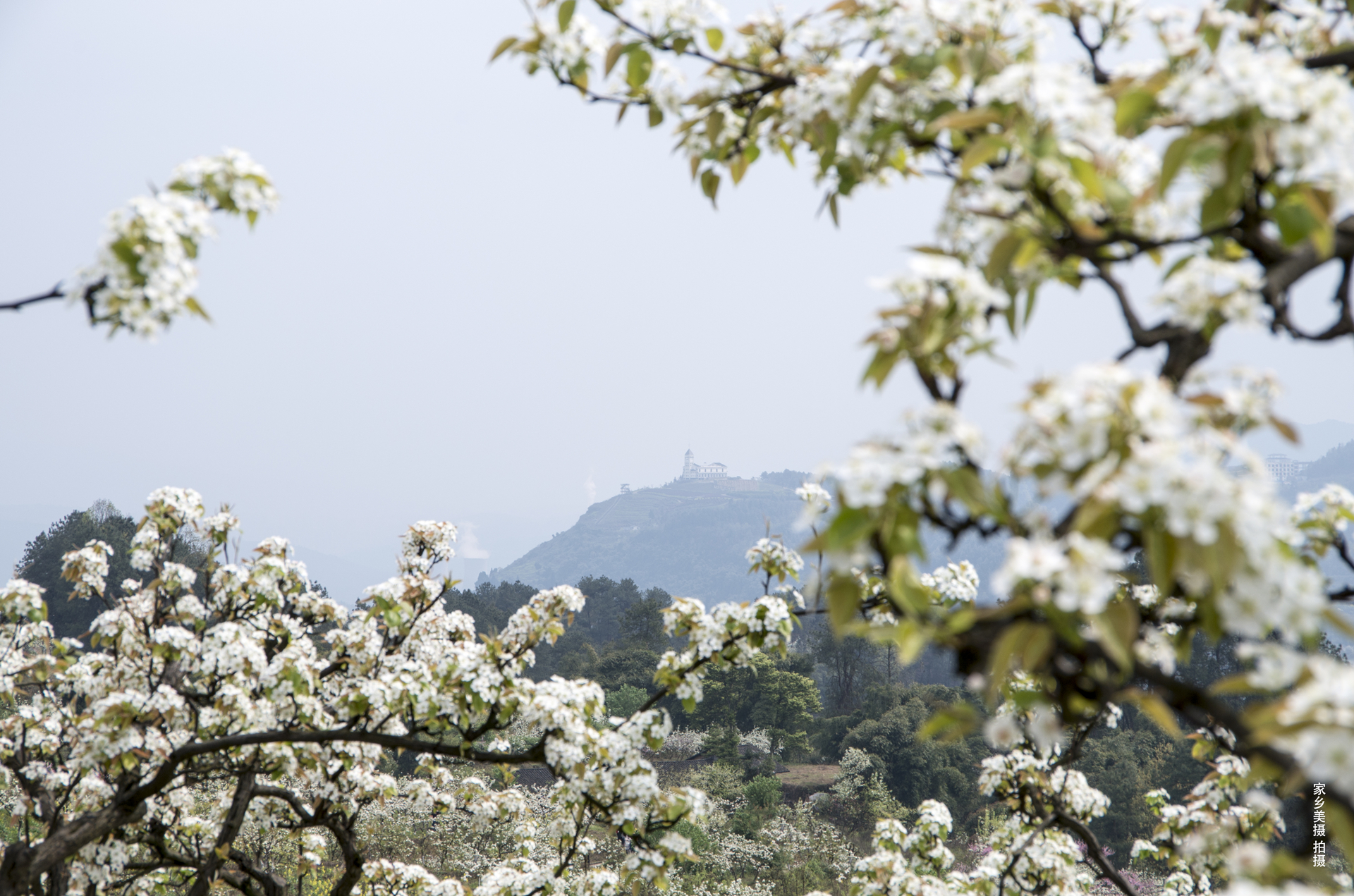 最美城市綦江,山水之城美丽之地重庆綦江