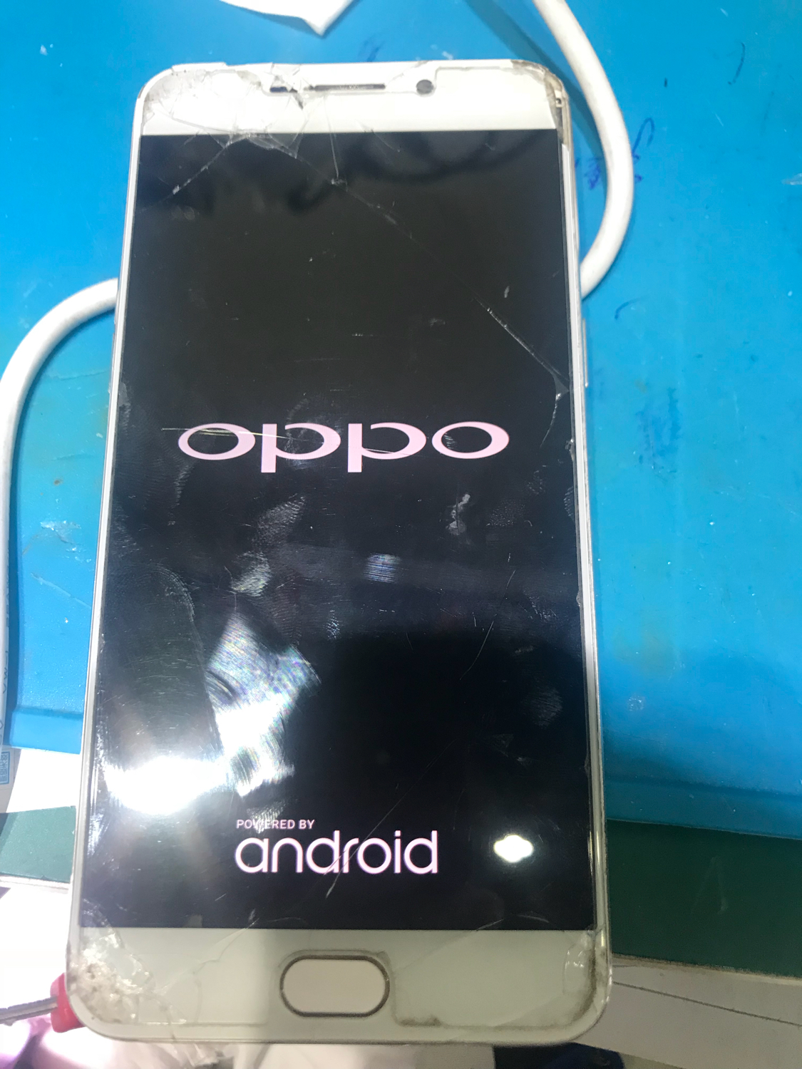 闲鱼收到5s手机,闲鱼收了二手手机有密码