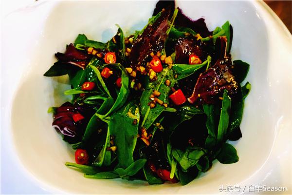 长寿二百岁秘诀,长寿秘诀老头篇