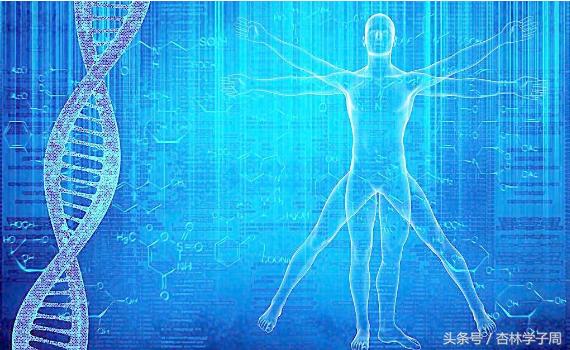 肾虚腰痛尿多怎么治,肾虚腰痛按什么穴位