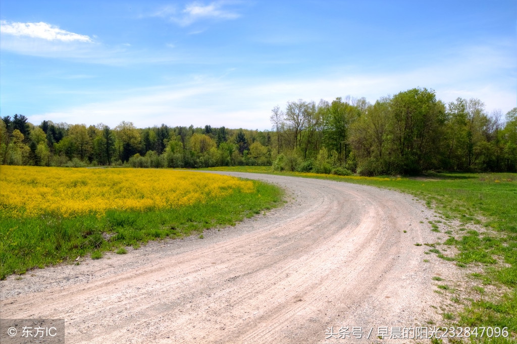 怎么样说话绕弯子,应该怎么学会绕弯说话