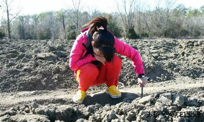 惊现淘宝之地,你也可以免费捡钻石