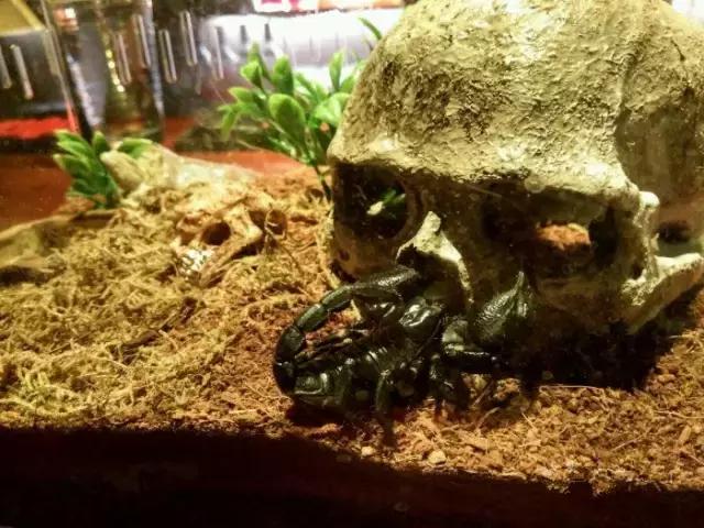 贵阳酒吧攻略大全,实地探访贵阳酒吧全攻略