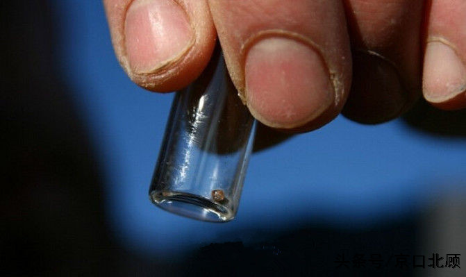 惊现淘宝之地,你也可以免费捡钻石