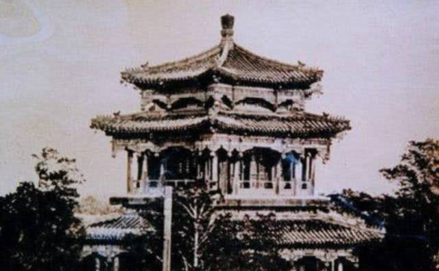 站着的霍金,站着的霍金的照片