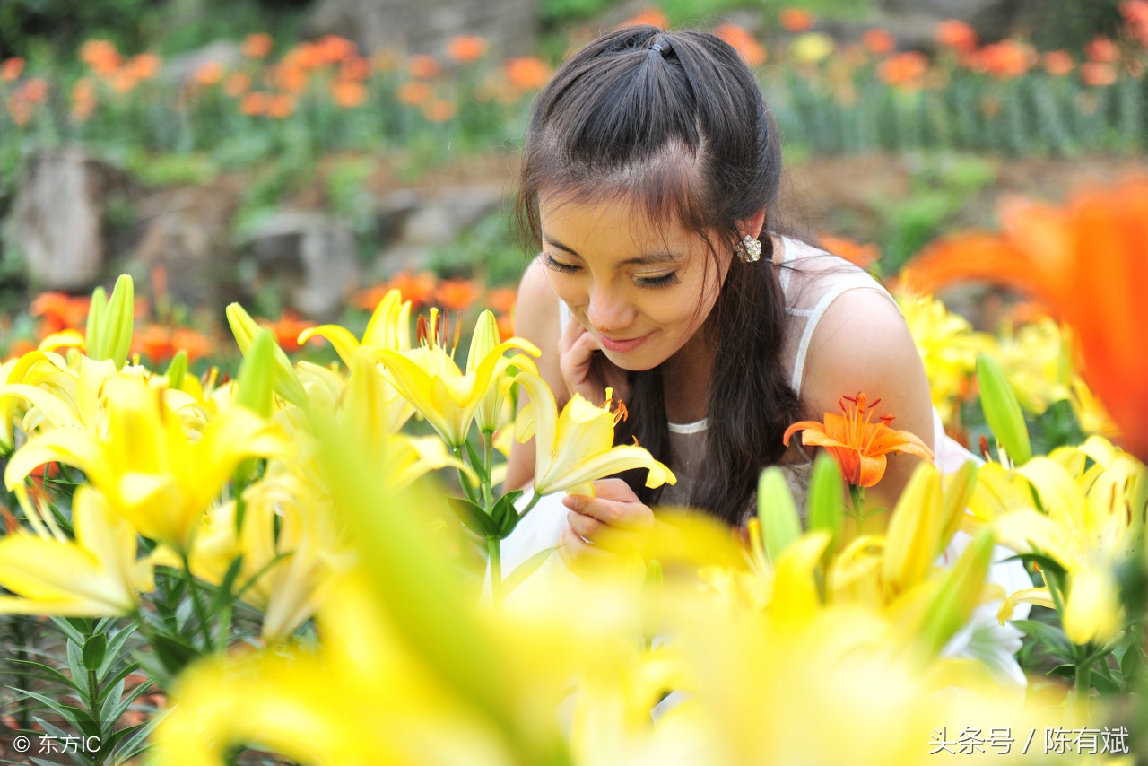 如何打造推广农业品牌,农业品牌推广与直播带货方案