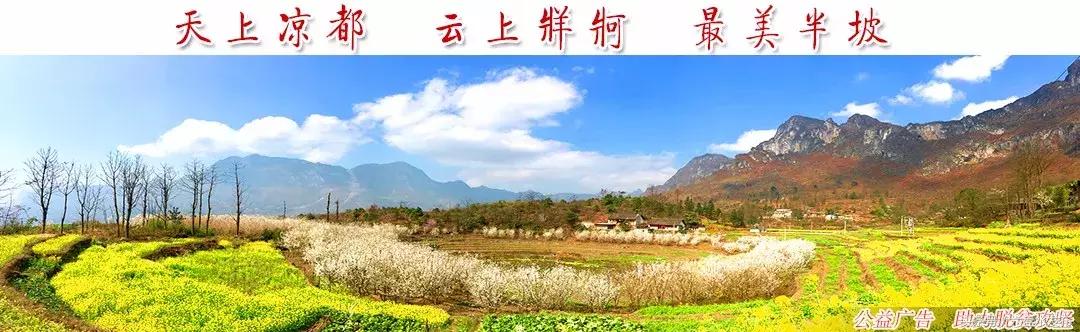 “凉都红香椿”走出国门，将亮相韩国餐桌