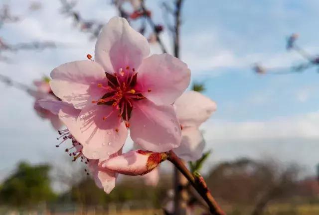 “桃花运”太好是种怎样的体验？