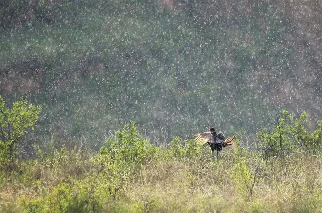 “桃花运”太好是种怎样的体验？