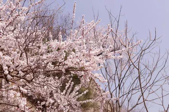 “桃花运”太好是种怎样的体验？