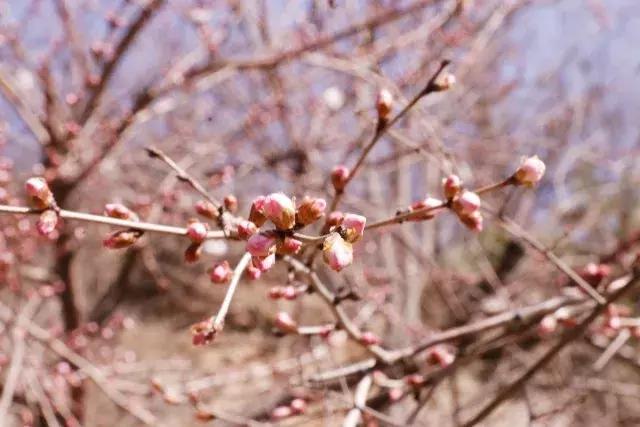 “桃花运”太好是种怎样的体验？