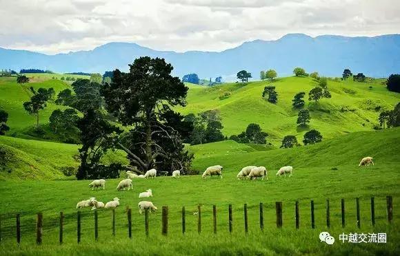 东南亚风景极美的十部电影,全球八大最美的电影取景地你造吗