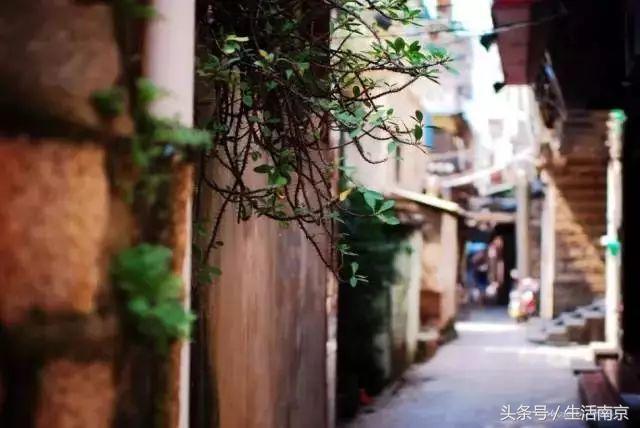 春天南京有哪些美景的地方,南京春天最值得去的地方