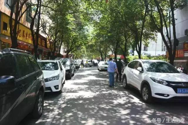 春天南京有哪些美景的地方,南京春天最值得去的地方