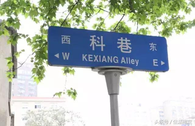 春天南京有哪些美景的地方,南京春天最值得去的地方