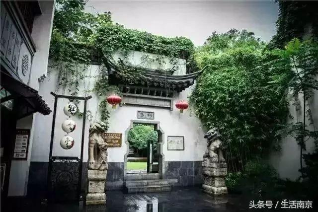 春天南京有哪些美景的地方,南京春天最值得去的地方