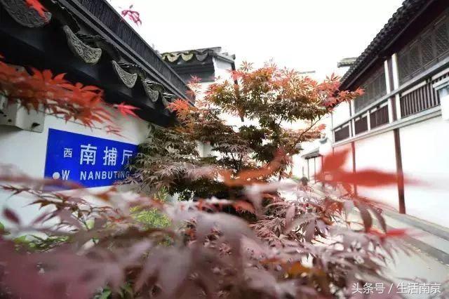 春天南京有哪些美景的地方,南京春天最值得去的地方